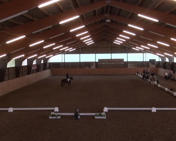 Reitturnier Detmold-Remmighausen 2017