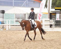 dressage horse Fiona 297 (German Riding Pony, 1995, from Flamenco)