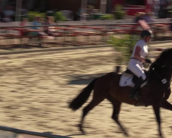Reitturnier Hamm-Rhynern 2017