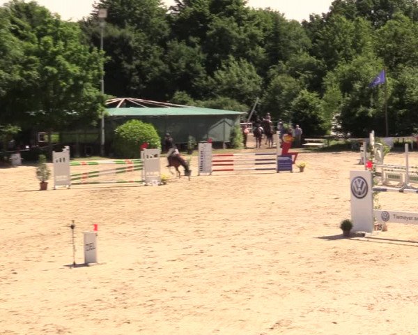 Reitturnier Bochum-Nord 2017