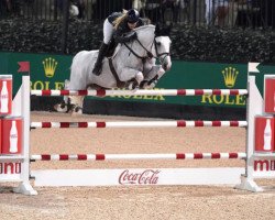 stallion Bull Run's Faustino de Tili (Belgian Warmblood, 2005, from Berlin)