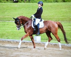 Pferd Liebesspieler MS (Österreichisches Warmblut, 2011, von Lichtblick TSF)