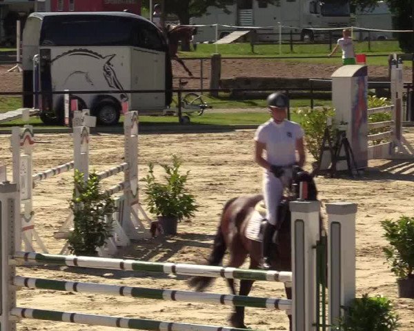 Reitturnier Hamm-Rhynern 2017