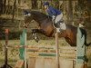 dressage horse Delilah S (Hanoverian, 2005, from Don Bosco)