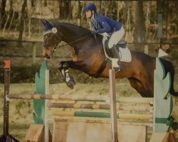 dressage horse Delilah S (Hanoverian, 2005, from Don Bosco)