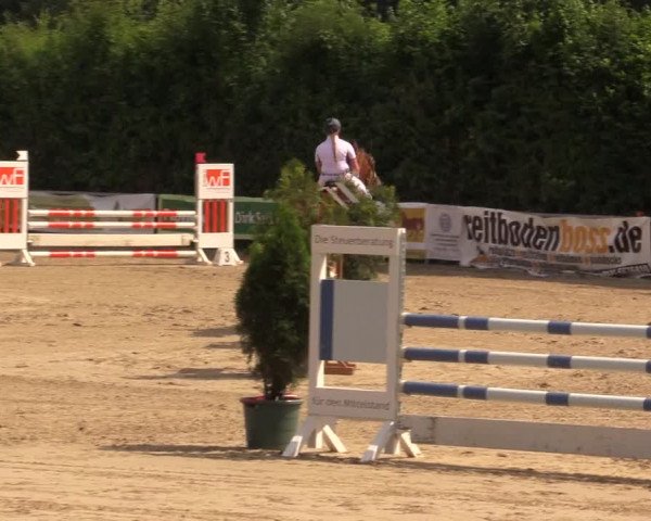 Reitturnier Fröndenberg 2017