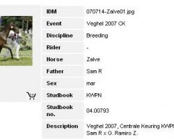 broodmare Zalve (KWPN (Royal Dutch Sporthorse), 2004, from Sam R)