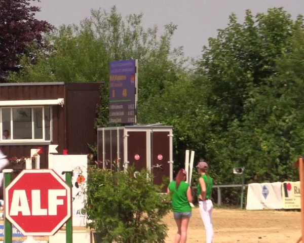 Reitturnier Fröndenberg 2017