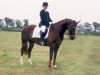 broodmare Hillechien (KWPN (Royal Dutch Sporthorse), 1989, from Purioso)