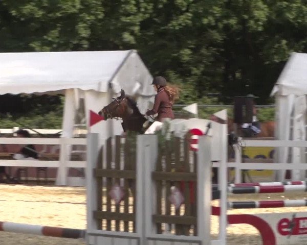 Reitturnier Köln-Weidenpesch Equorius 2017