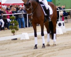 dressage horse Hypothese K (Hanoverian, 2012, from Hofrat)