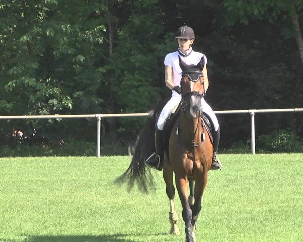 Reitturnier Leingarten 2017