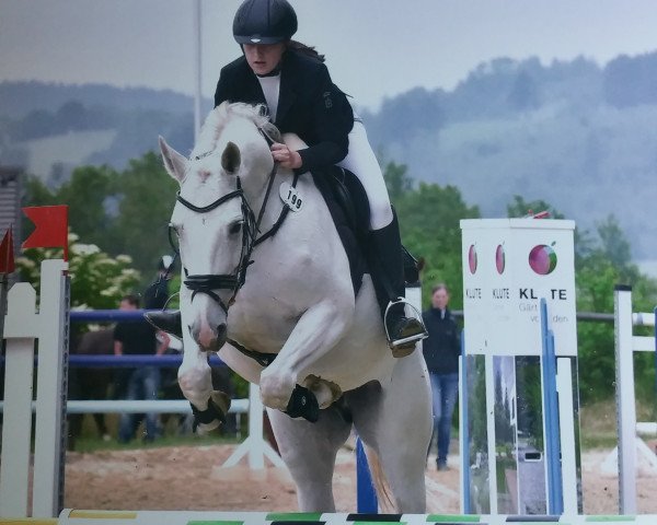 broodmare White is the new black (German Warmblood, 2003, from Wolkenball)