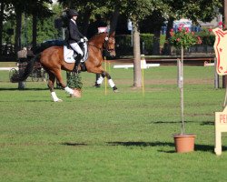 dressage horse Hancock 7 (German Riding Pony, 2009, from Hattrick)