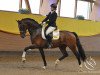 dressage horse Da Maggio J (KWPN (Royal Dutch Sporthorse), 2008, from Unieko)