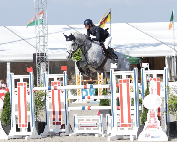 jumper Larome (German Sport Horse, 2010, from Lafitte)