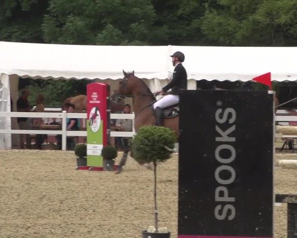 Reitturnier Köln-Weidenpesch Equorius 2017