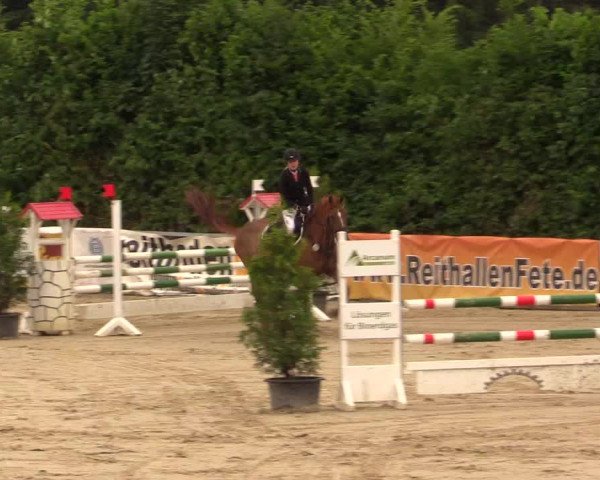 Reitturnier Fröndenberg 2017