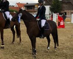 dressage horse Charly (German Riding Pony, 2009, from Chantre 31)