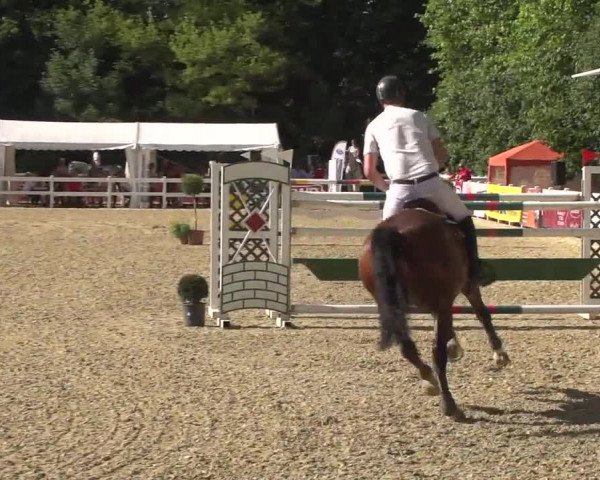 Reitturnier Köln-Weidenpesch Equorius 2017