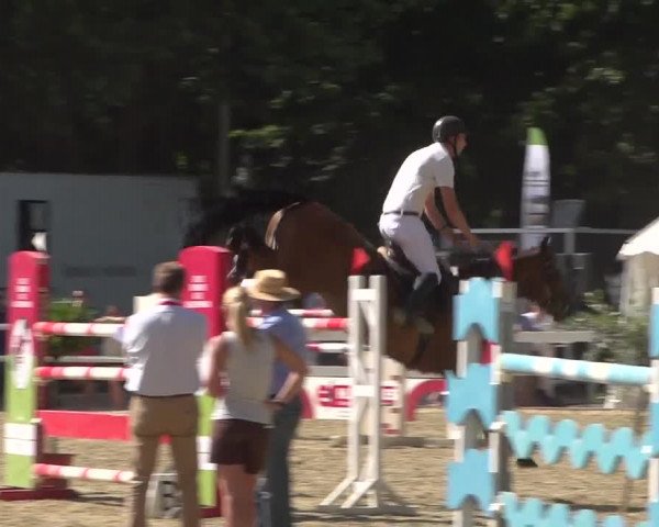 Reitturnier Köln-Weidenpesch Equorius 2017