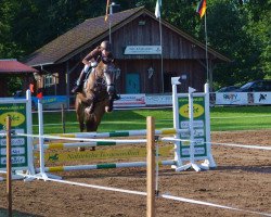 jumper Cupcake 8 (Oldenburg show jumper, 2013, from Coupe de Coeur 2)