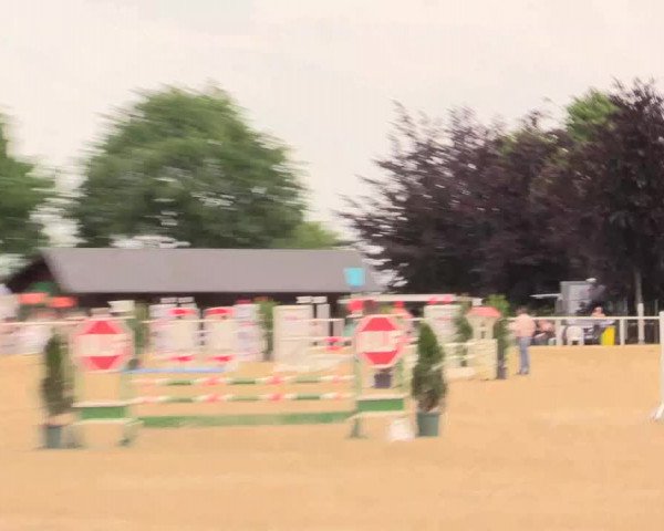 Reitturnier Fröndenberg 2017