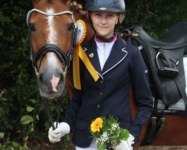 dressage horse Balko (unknown, 1995)