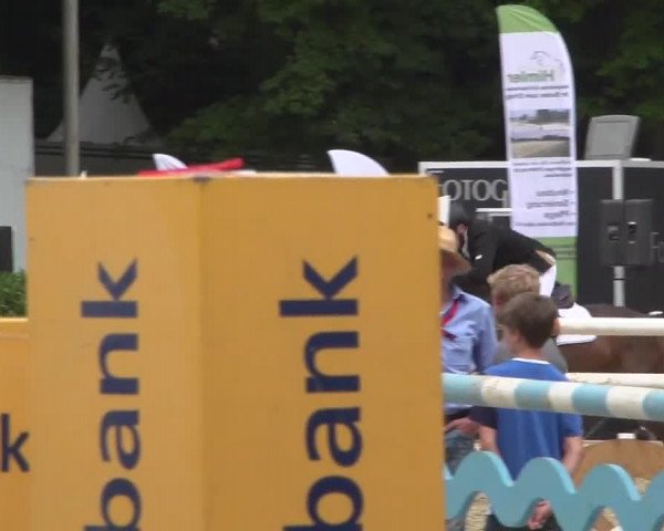 Reitturnier Köln-Weidenpesch Equorius 2017