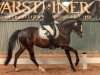 dressage horse Valeska LM (German Riding Pony, 2012, from Vivaldi)