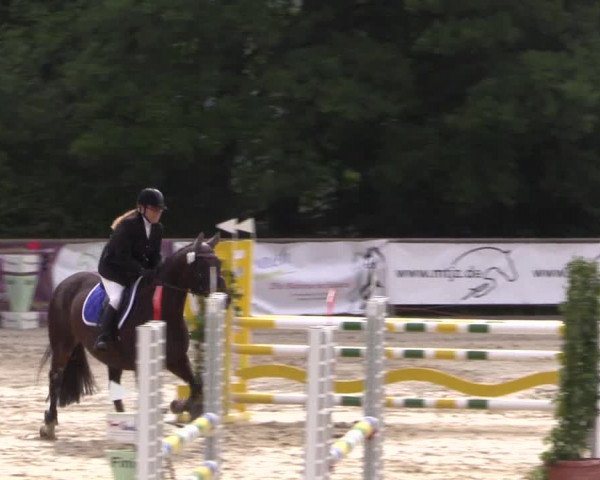 Reitturnier Haiger-Rodenbach, Drei-Länder-Challenge 2017