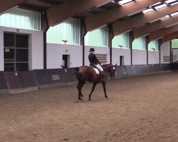 Reitturnier Kierspe-Hohenholten 2017