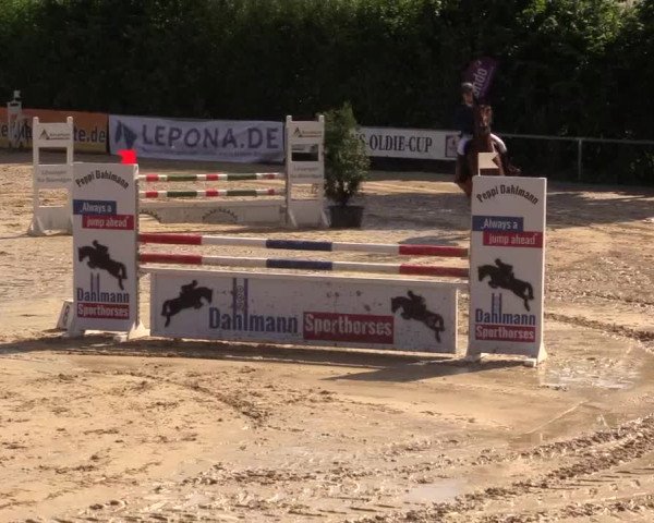 Reitturnier Fröndenberg 2017