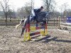 jumper Mila 65 (German Riding Pony, 2010, from Sunny Boy)