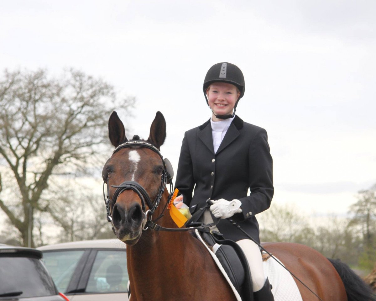 broodmare Donnerlittchen (Oldenburg, 2004, from Diamond Hit)