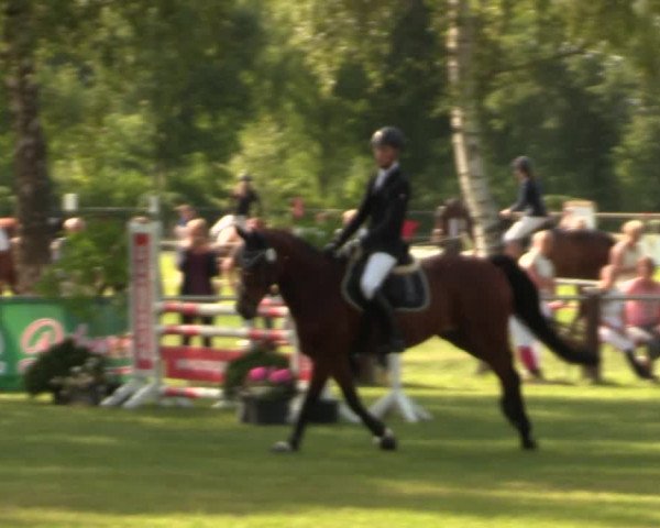 Reitturnier Hille 2017
