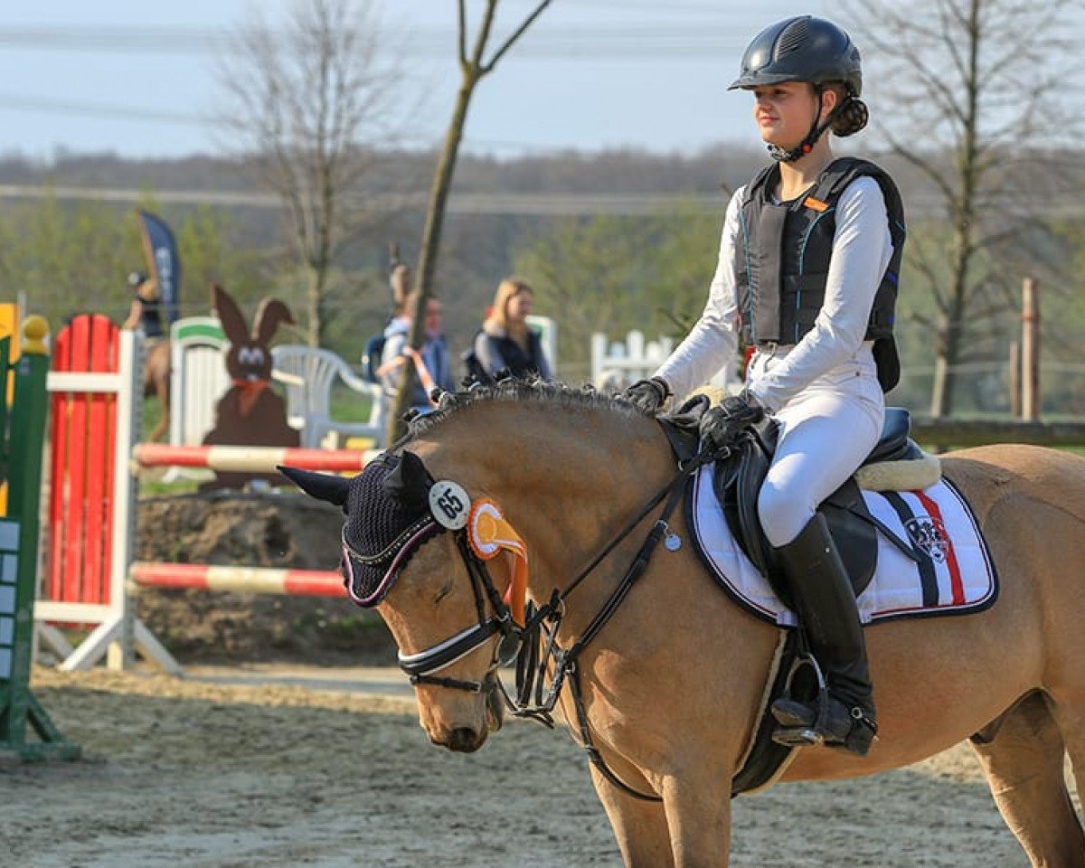 Dressurpferd Clooney 101 (Deutsches Reitpony, 2010, von NK Cyrill)