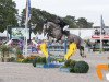 Springpferd Heros du Roumaillard CH (Schweizer Warmblut, 2011, von Hickstead)