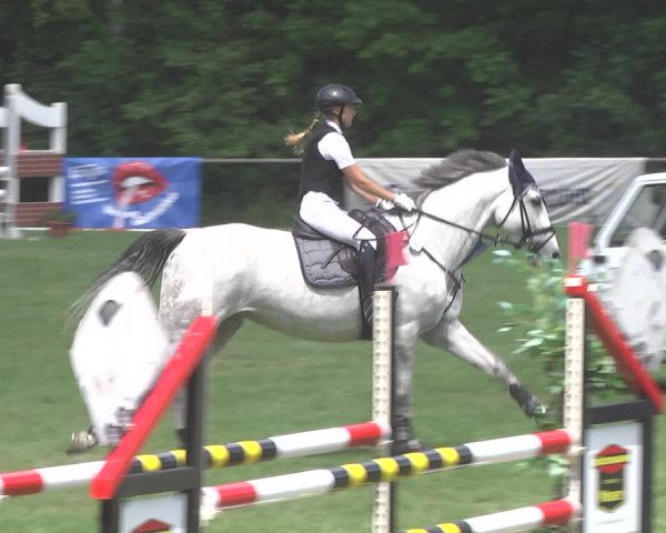 Reitturnier Leingarten 2017