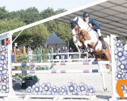 Springpferd Best Choice vd Wareslage Z (Zangersheide Reitpferd, 2012, von Best Man Z)