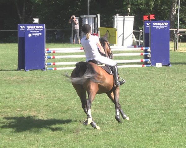 Reitturnier Leingarten 2017