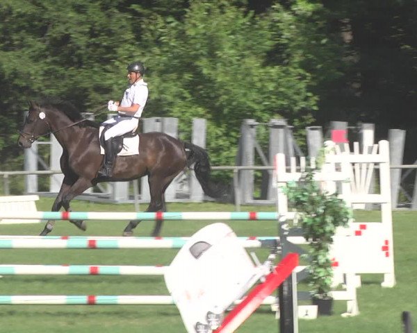 Reitturnier Leingarten 2017