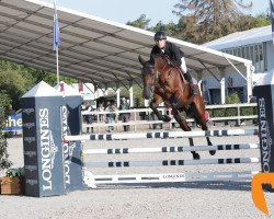 Springpferd Nanteuil van T&l (Belgisches Warmblut, 2013, von Halifax van het Kluizebos)