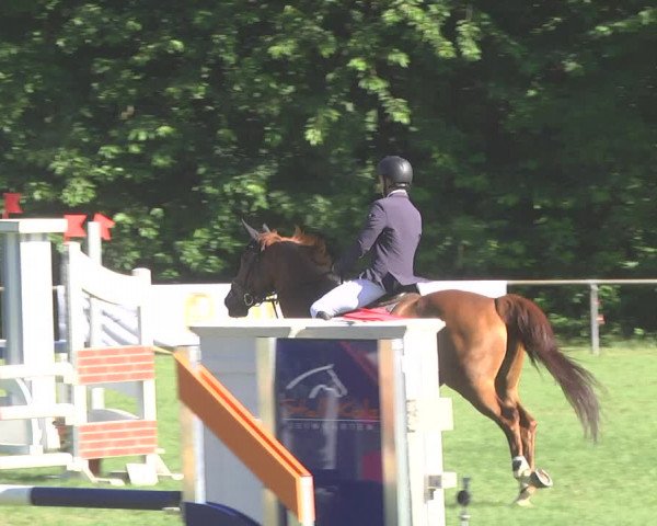 Reitturnier Leingarten 2017