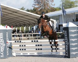 stallion In Between (KWPN (Royal Dutch Sporthorse), 2013, from Toulon)