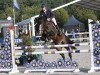 jumper Hermes de Fremis (Belgium Sporthorse, 2013, from Balou du Rouet)