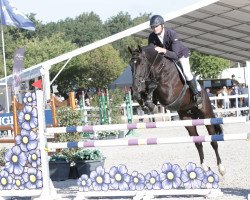 stallion Hunter Fairy (KWPN (Royal Dutch Sporthorse), 2012, from Nabab de Rêve)