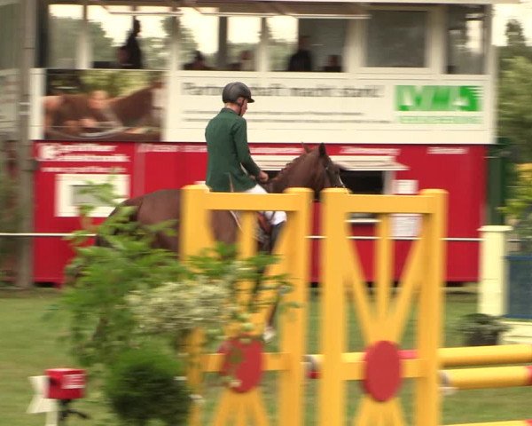Reitturnier Hille 2017
