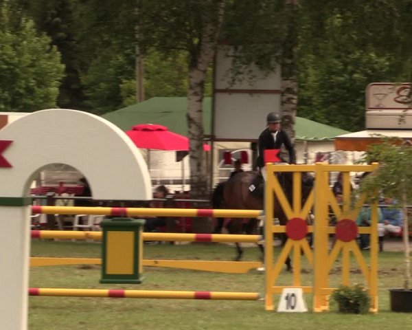 Reitturnier Hille 2017