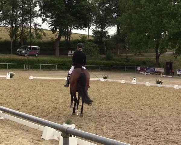 Reitturnier Kierspe-Hohenholten 2017
